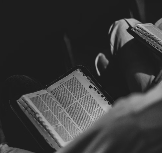 bible-2 bible-2
